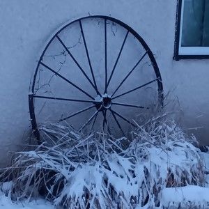 Meet your Posher, Marion